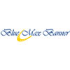 Blue Max Banner Logo