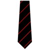 Nene Park Academy House Tie Black/Red