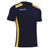 Navy/Yellow